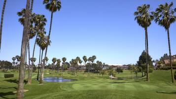 A golf course with palm trees, a pond, and a clear blue sky.