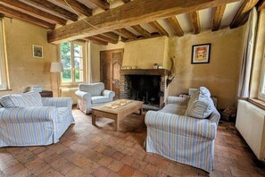 TV, fireplace, books