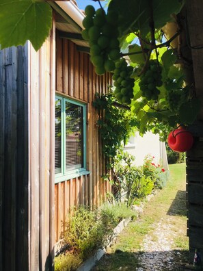 Property grounds - Villa "La Gayere" 600 m from the sea. Calm. Parking, swimming pool, wifi (Andernos-les-Bains)