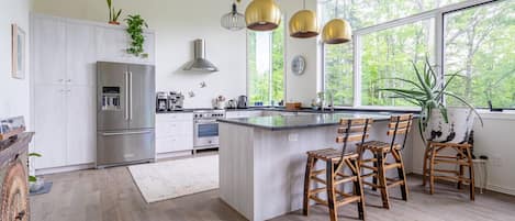 Fridge, oven, stovetop, dishwasher