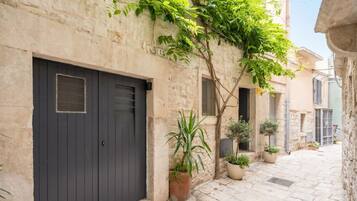 A narrow stone-paved alley with a dark wooden door, potted plants, and a building with a stone facade.