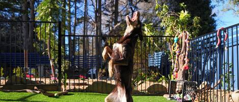Enceinte de l’hébergement