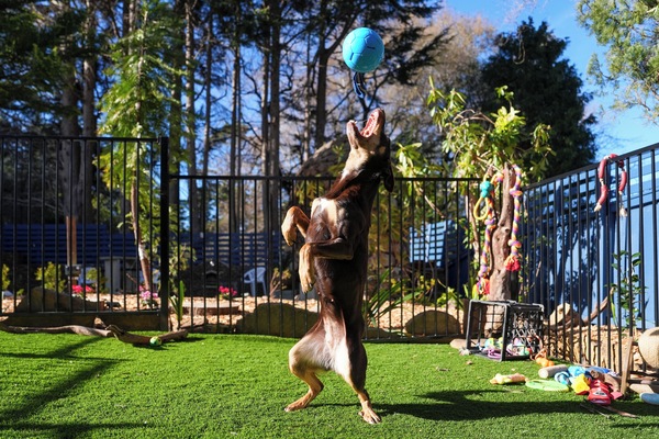 Parco della struttura