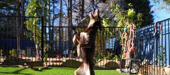 Voice controlled Smart house with 6-person spa and outdoor dining. Pet friendly.