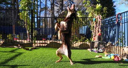 Voice controlled Smart house with 6-person spa and outdoor dining. Pet friendly.