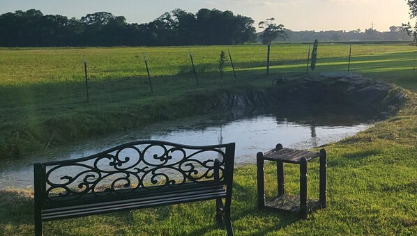 Property grounds - Relaxation Getaway w/ Pond View (Carencro)