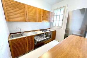 Fridge, stovetop, dishwasher