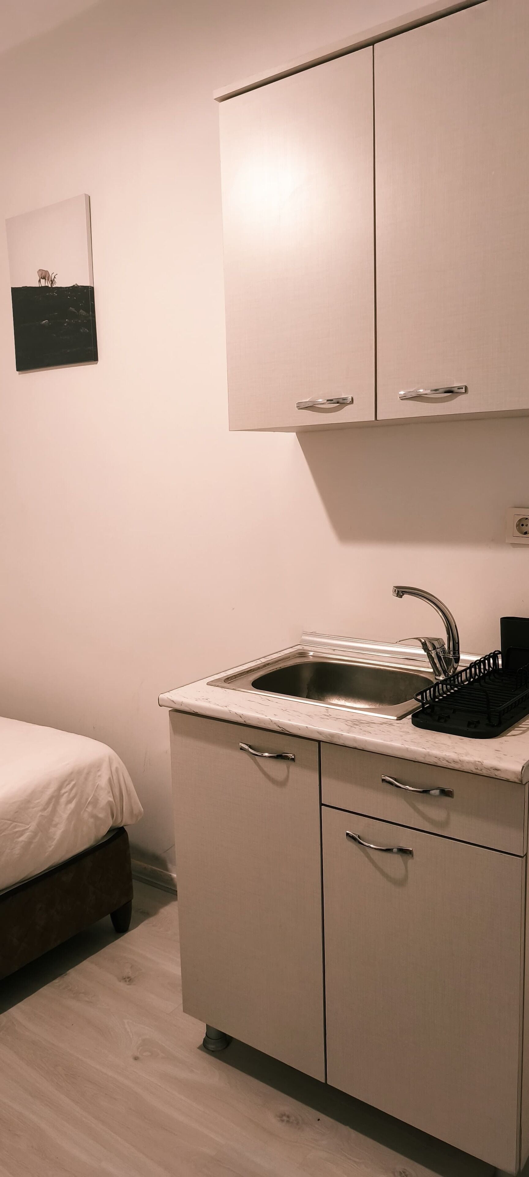 A small kitchenette with a sink, cabinets, and a bed.
