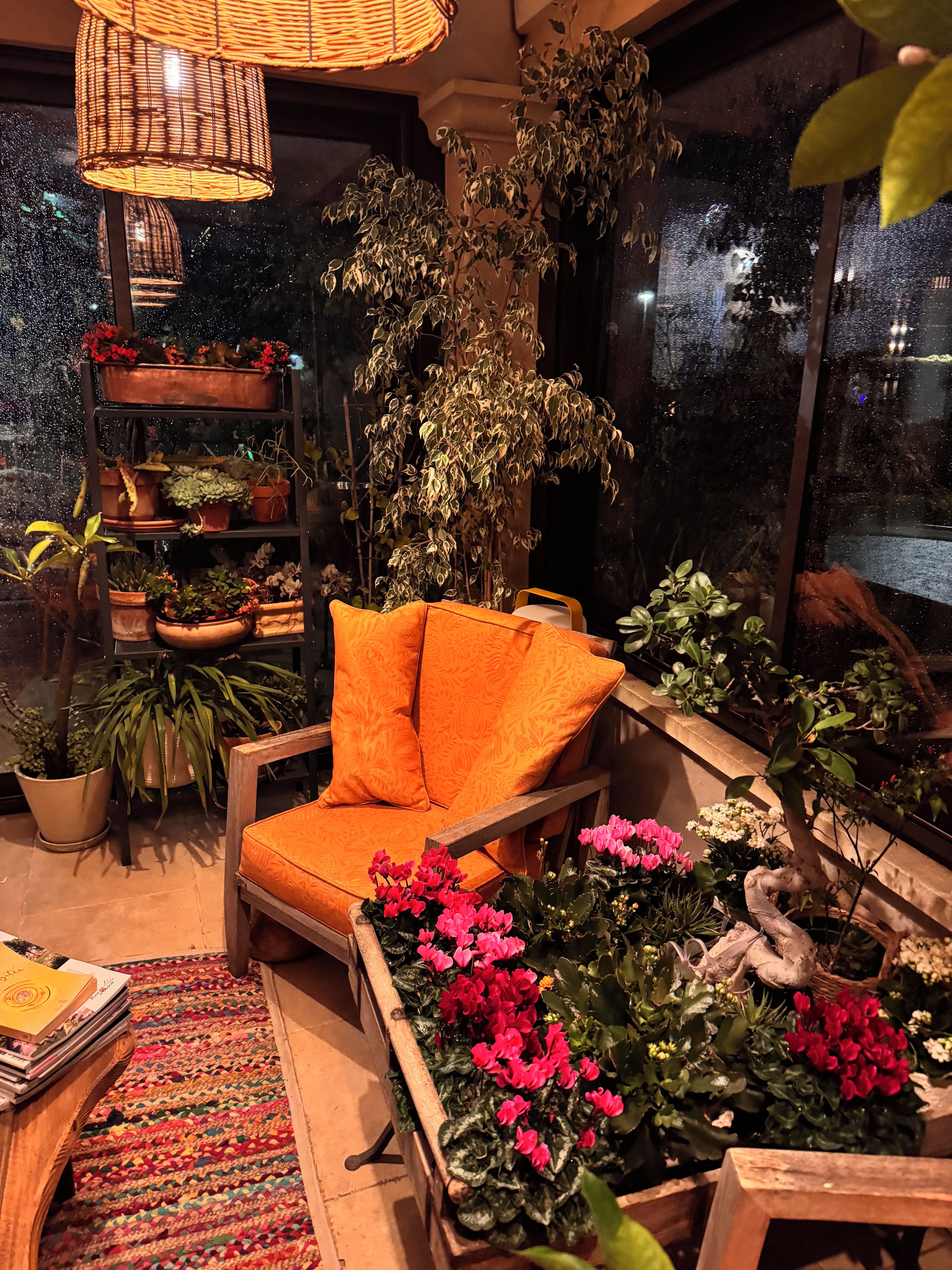 Un espace intérieur accueillant avec un fauteuil, une bibliothèque et diverses plantes en pot.