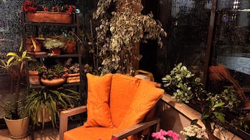 Un espace intérieur accueillant avec un fauteuil, une bibliothèque et diverses plantes en pot.