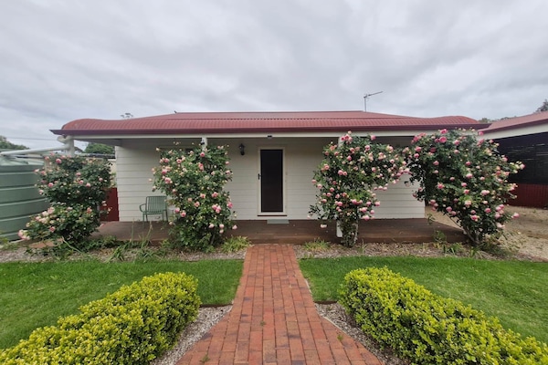 Bridget's Cottage roses in blooom