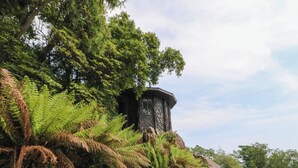 A stone structure with a sloped roof, surrounded by dense ferns and trees. - Shore Lodge Brodick Castle (Isle of Arran)