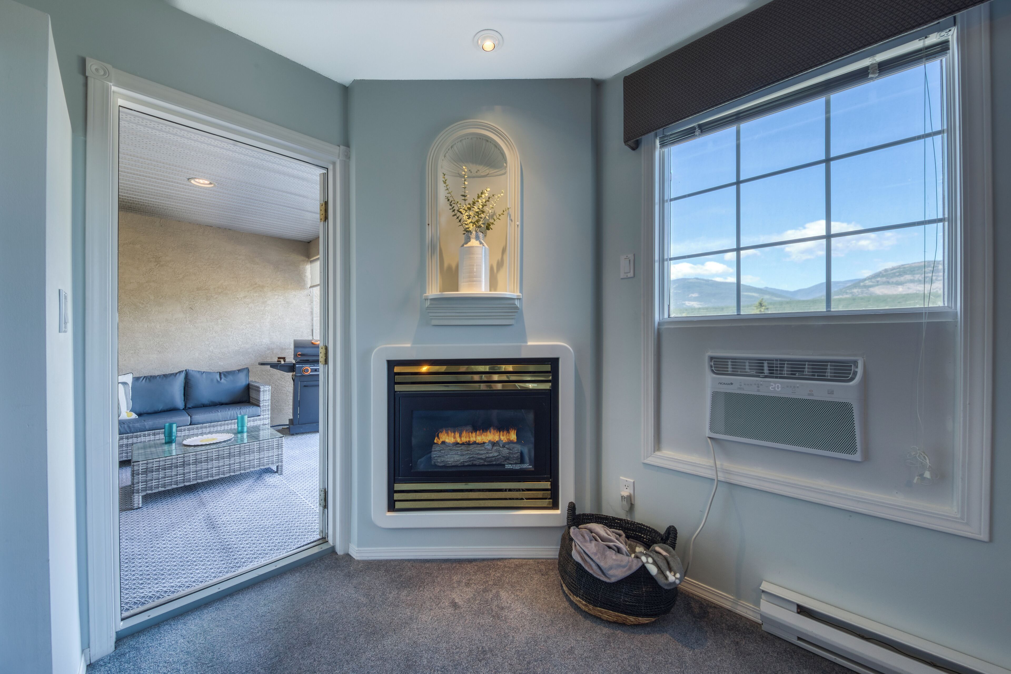 TV, fireplace