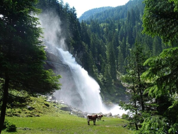 Una cascada rodeada de bosque denso.