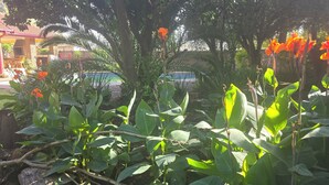 Un jardin avec différentes sortes de plantes et une piscine en arrière-plan.