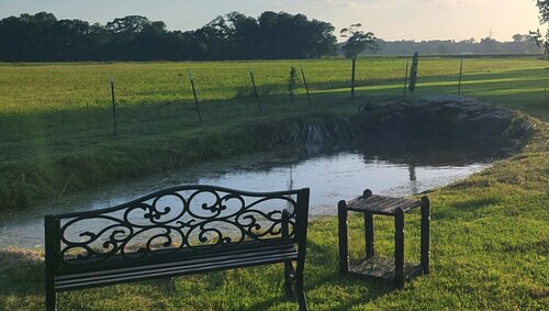 Cozy Studio Suite w/ Pond View