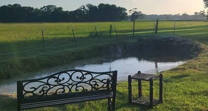 Cozy Studio Suite w/ Pond View