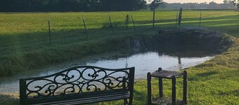 Cozy Studio Suite w/ Pond View and Spa