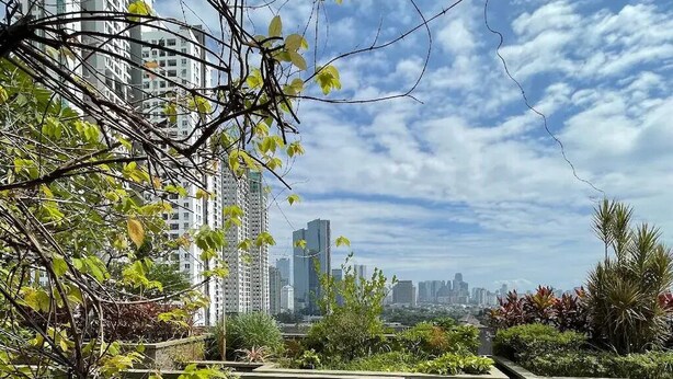 A rooftop terrace with a wicker table and chairs, surrounded by greenery and overlooking a cityscape.