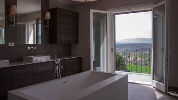 Shower, bidet, towels, shampoo