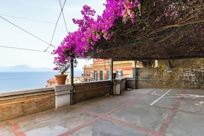 Apartment (1 Bedroom) | Terrace/patio