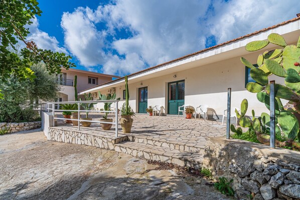 A building with a stone-paved entrance, potted plants, and a cactus.