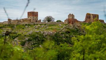 An ancient castle ruin with multiple towers and a large tree in the center.