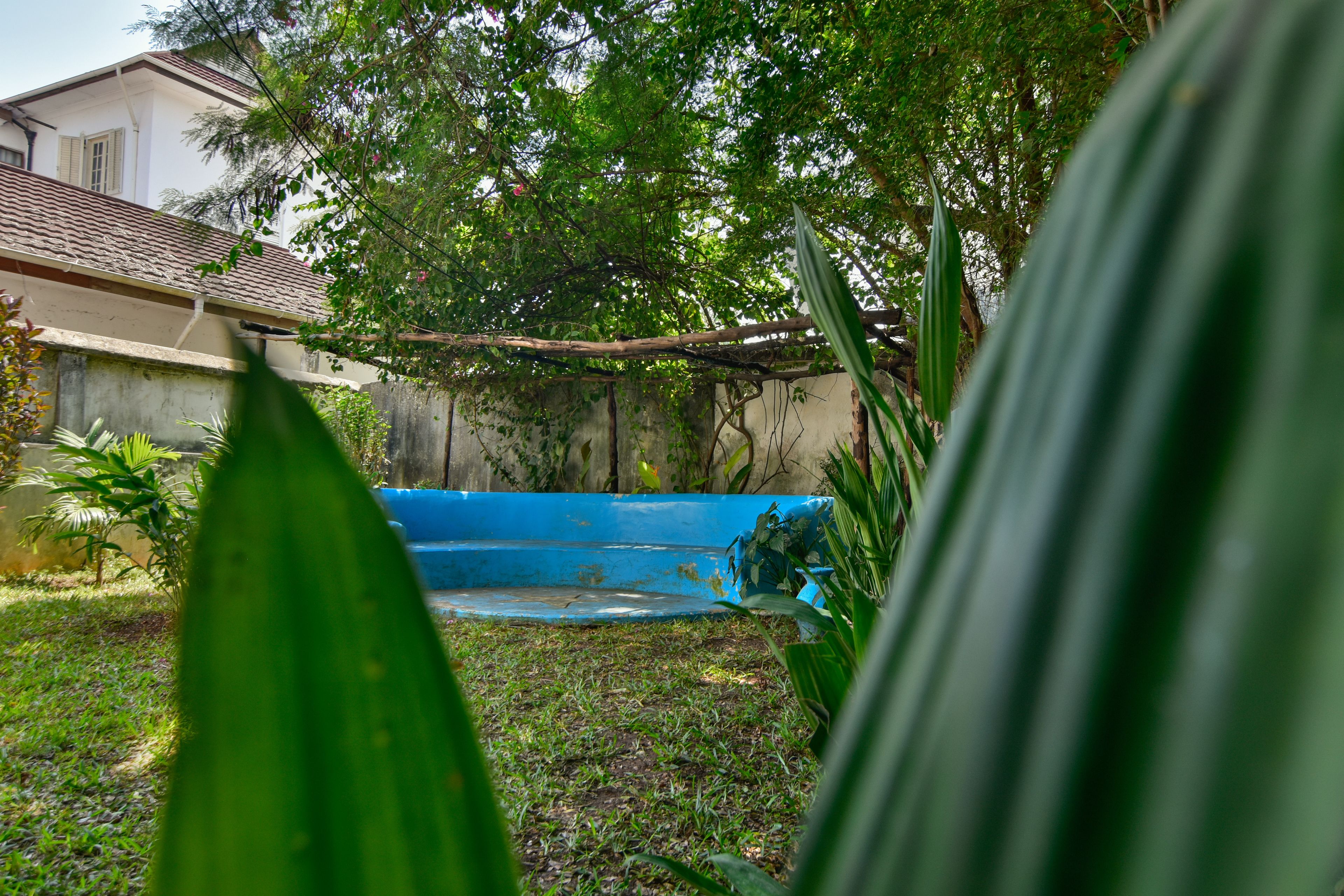 Photo - Hiliki House