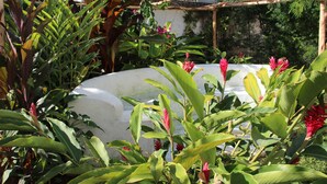A garden with various plants and a white structure, possibly a water feature or sculpture. - Hiliki House (Zanzibar Town)