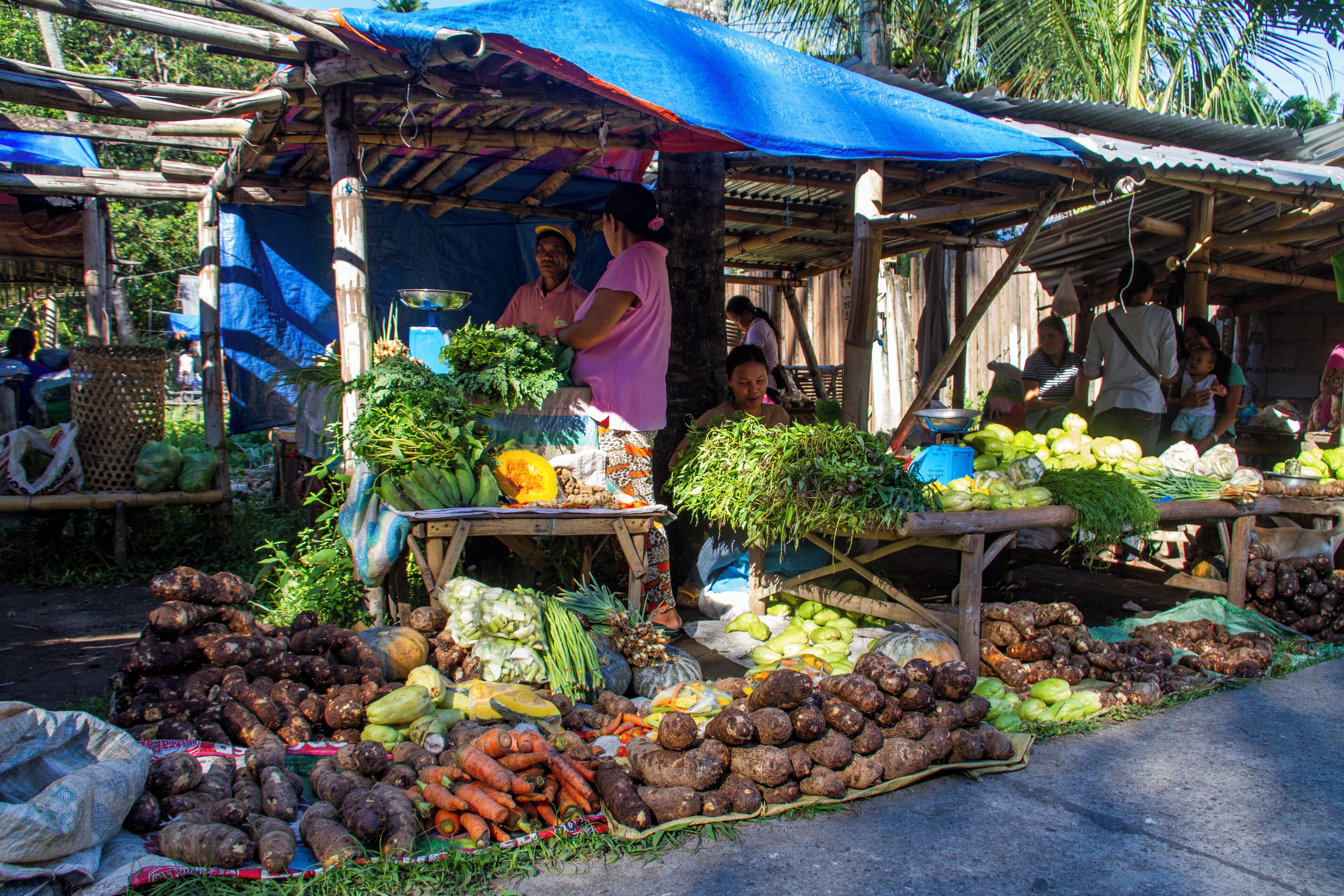 A market stall with various vegetables and fruits displayed on tables and the ground.