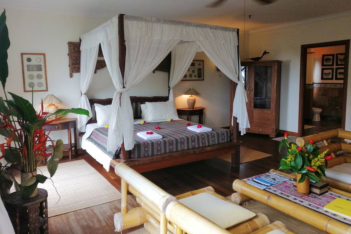Suite Junior (Albatross Room) | Minibar, una scrivania, letti aggiuntivi (a pagamento)
