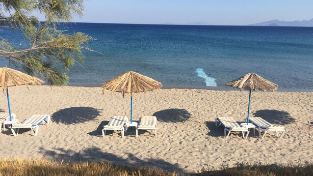 Una playa con sillas de descanso y sombrillas de paja.