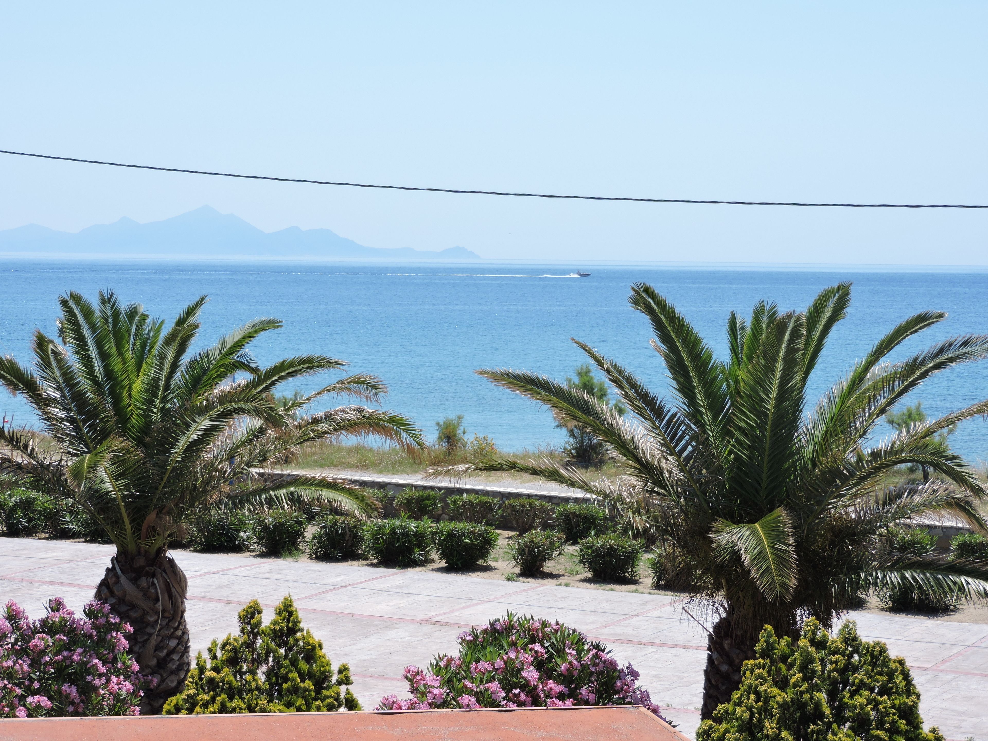 A coastal view with palm trees and a clear sky.