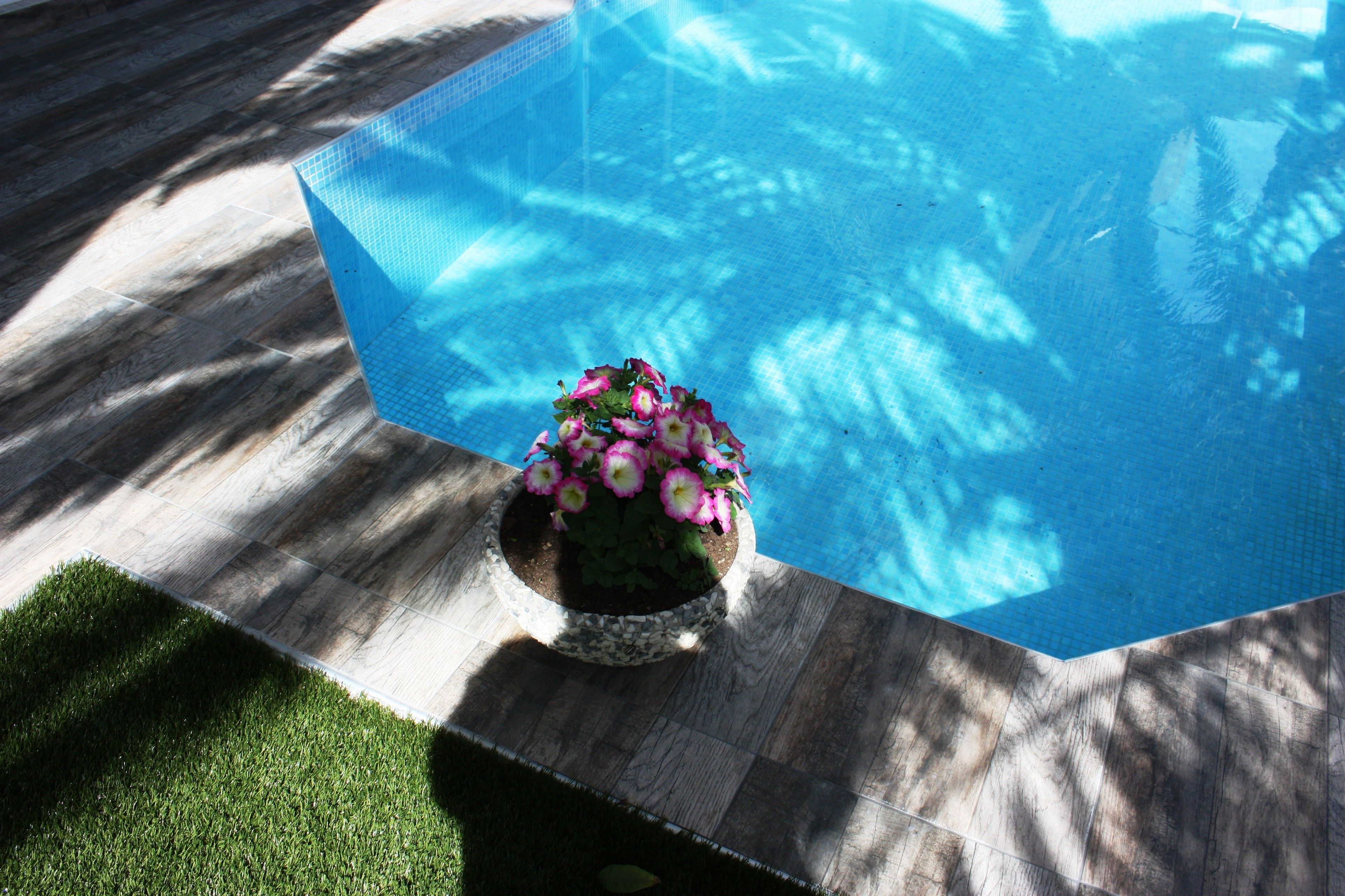 seasonal outdoor pool, pool loungers