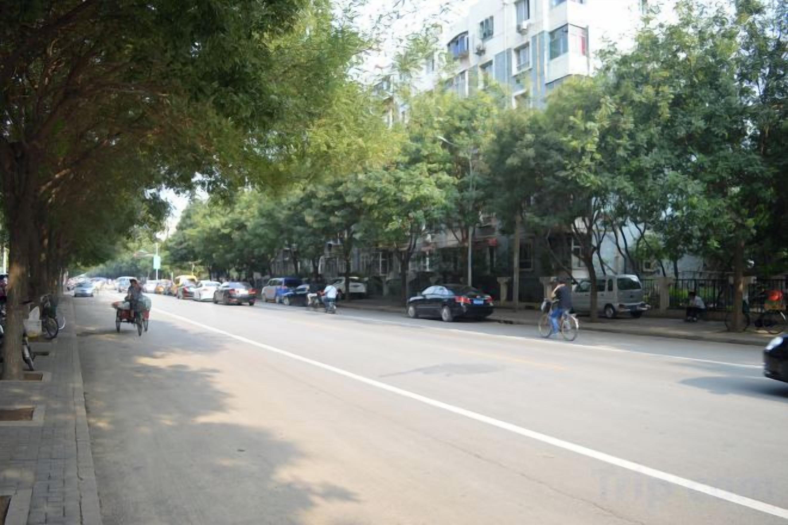Une rue bordée d’arbres, avec des voitures et des vélos garés le long.
