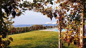 Un patio trasero con piscina, un pérgola con hiedra y vista al mar.