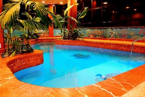 Piscina interna, piscina externa, espreguiçadeiras