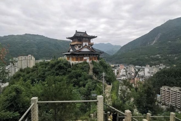 Een traditionele Japanse pagode met een meerlaagse dakconstructie, omringd door weelderige begroeiing en bergen.