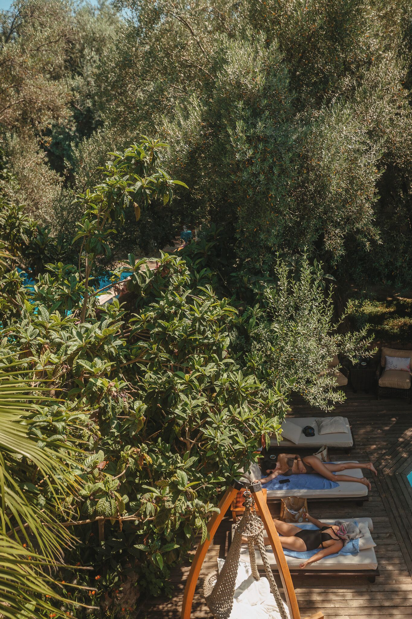 A wooden deck with two lounge chairs and a hammock, surrounded by dense foliage.