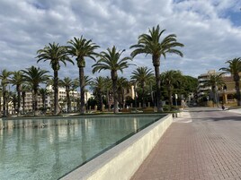 在海灘附近、5 間海灘酒吧