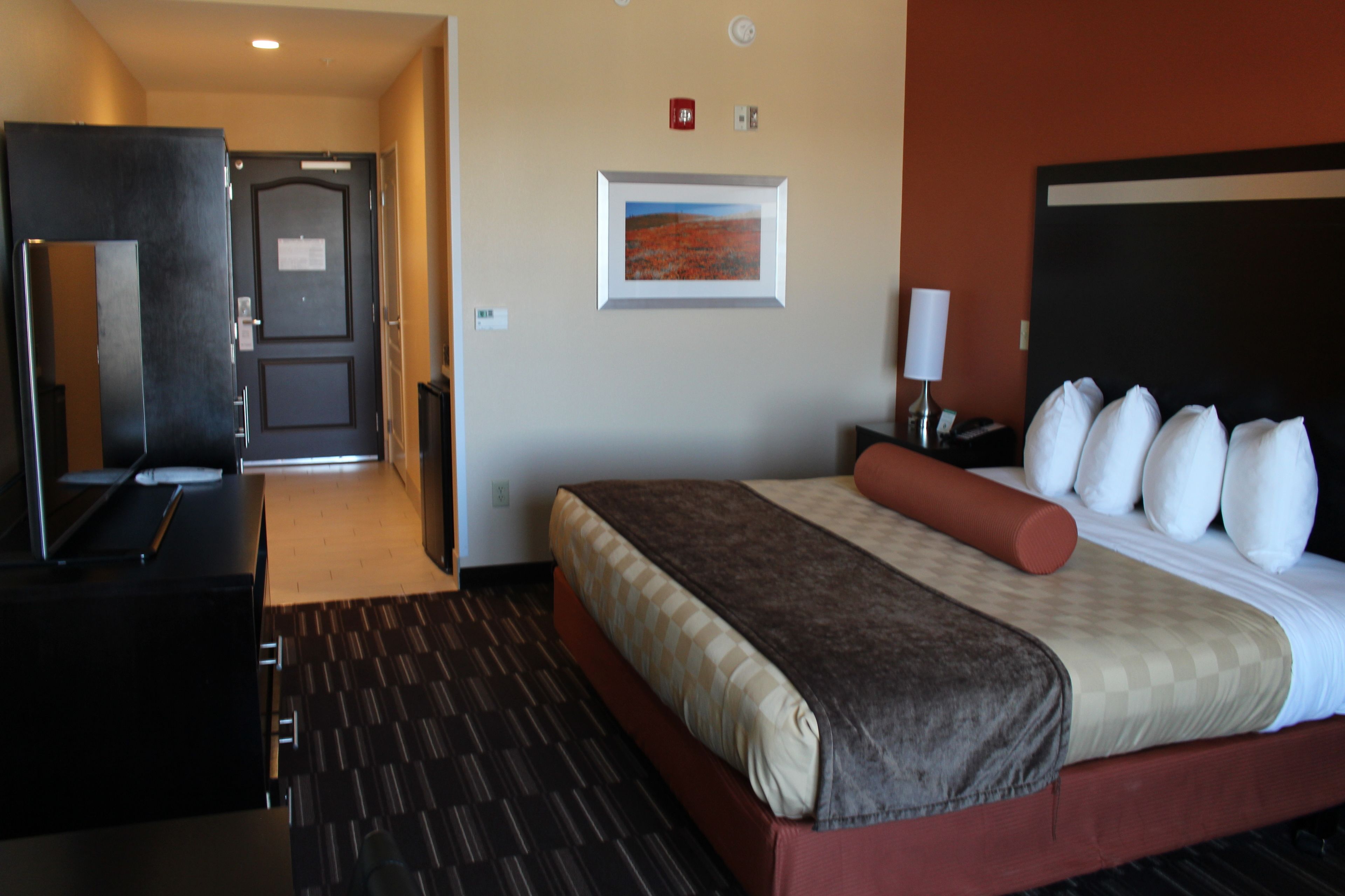 standard room, 1 king bed, accessible, non smoking (walk-in shower) | desk, laptop workspace, blackout curtains, iron/ironing board