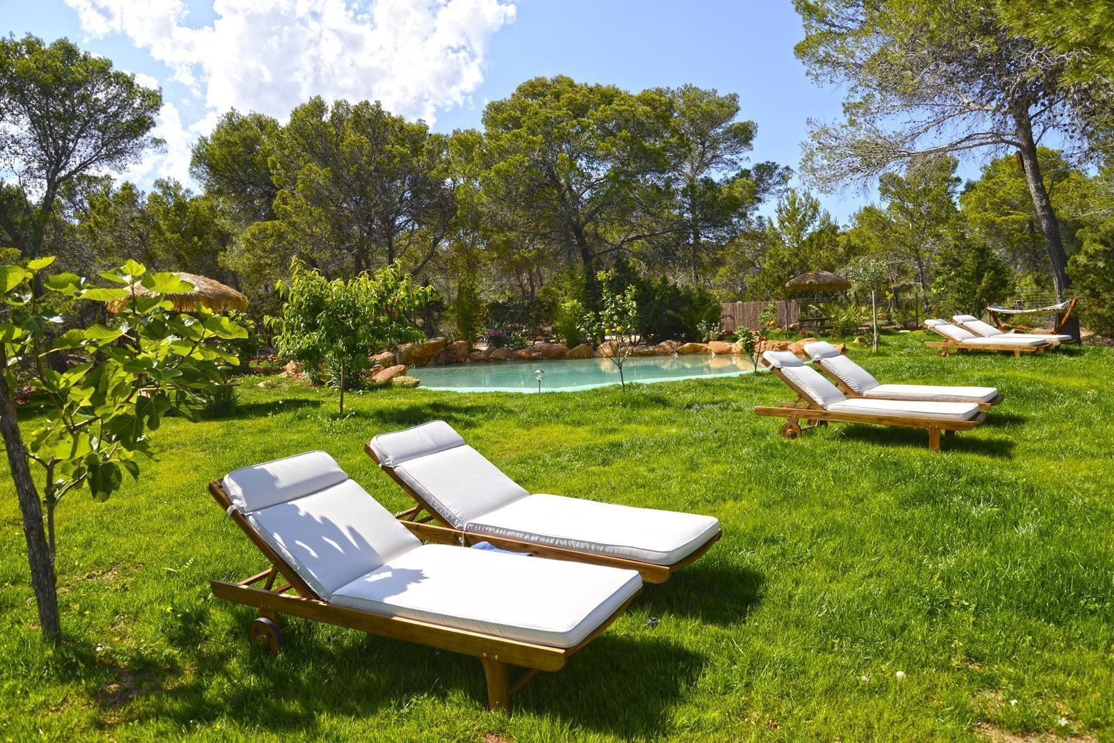 Una piscina al aire libre, sombrillas, tumbonas