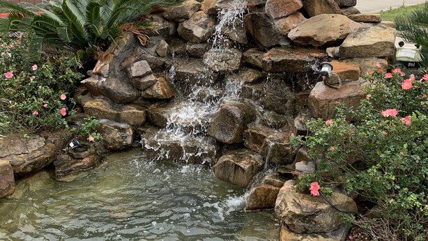 A small waterfall feature surrounded by rocks and plants, with a paved area in the background.