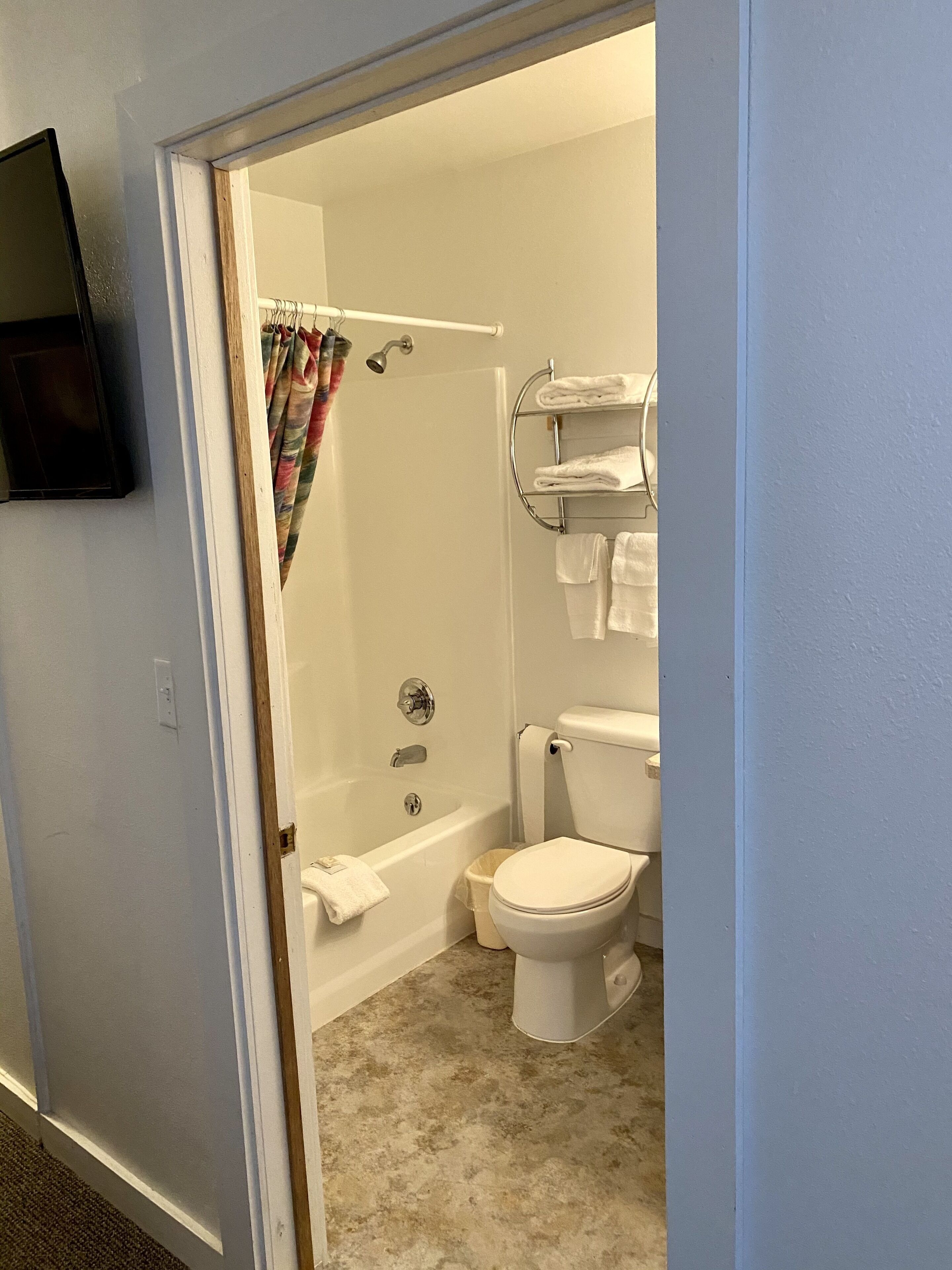 A bathroom with a shower, toilet, and a towel rack.