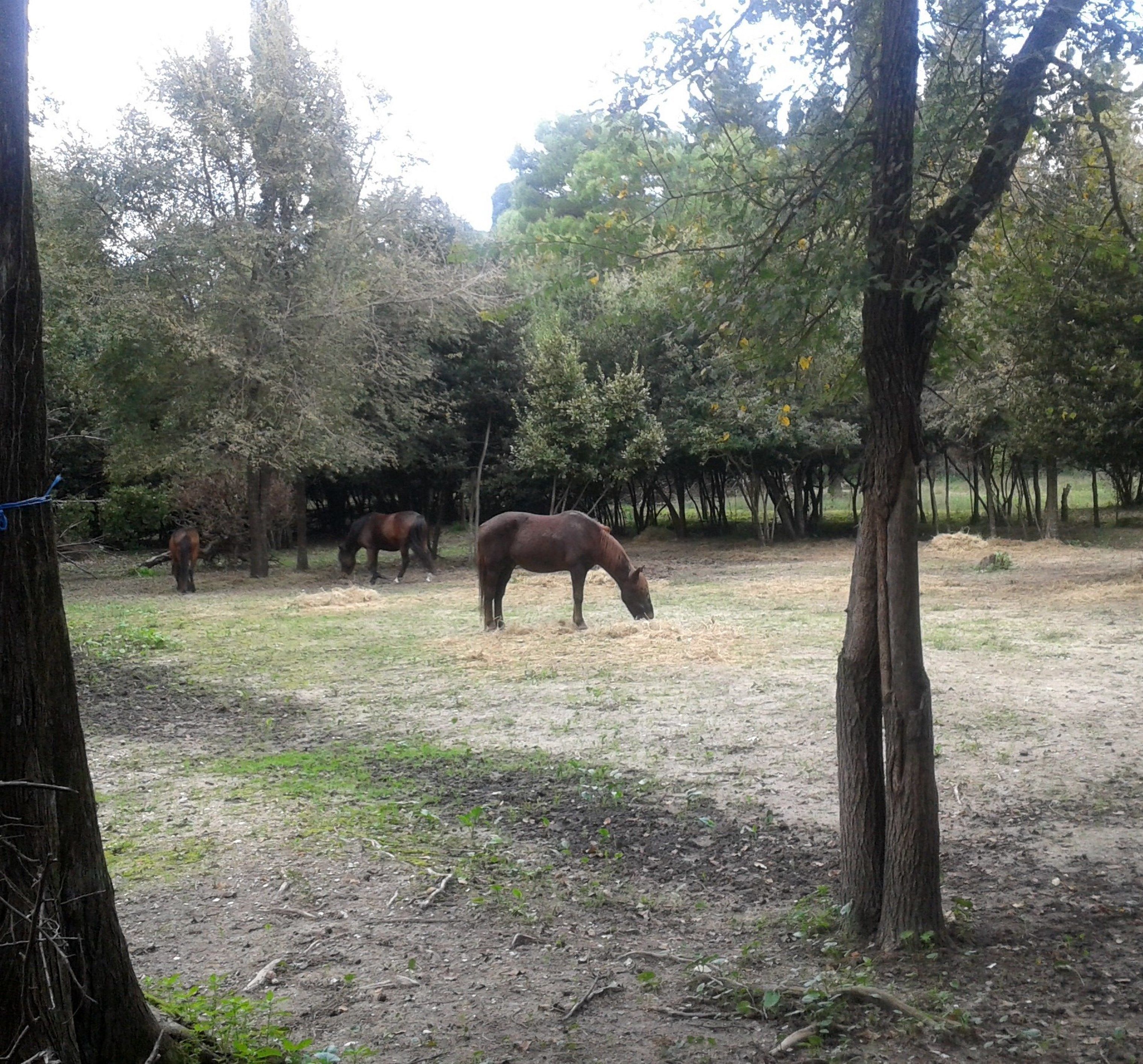 Foto - Garitsa Bay Apartment