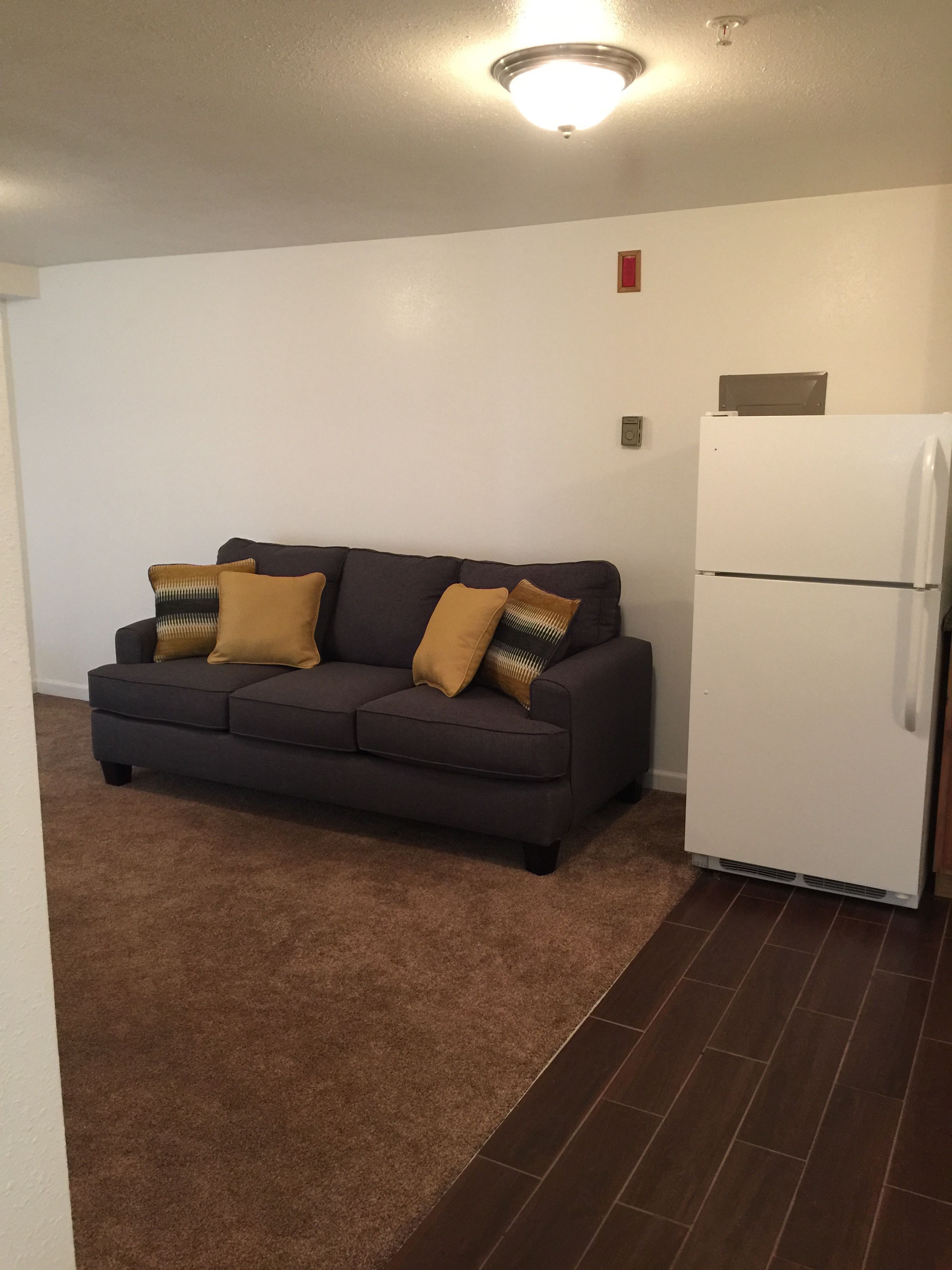 Deluxe Apartment, 1 Bedroom, Non Smoking, Kitchen | Living room | Flat-screen TV