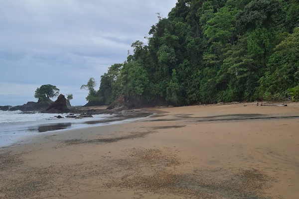 Una playa cerca, 3 bares en la playa