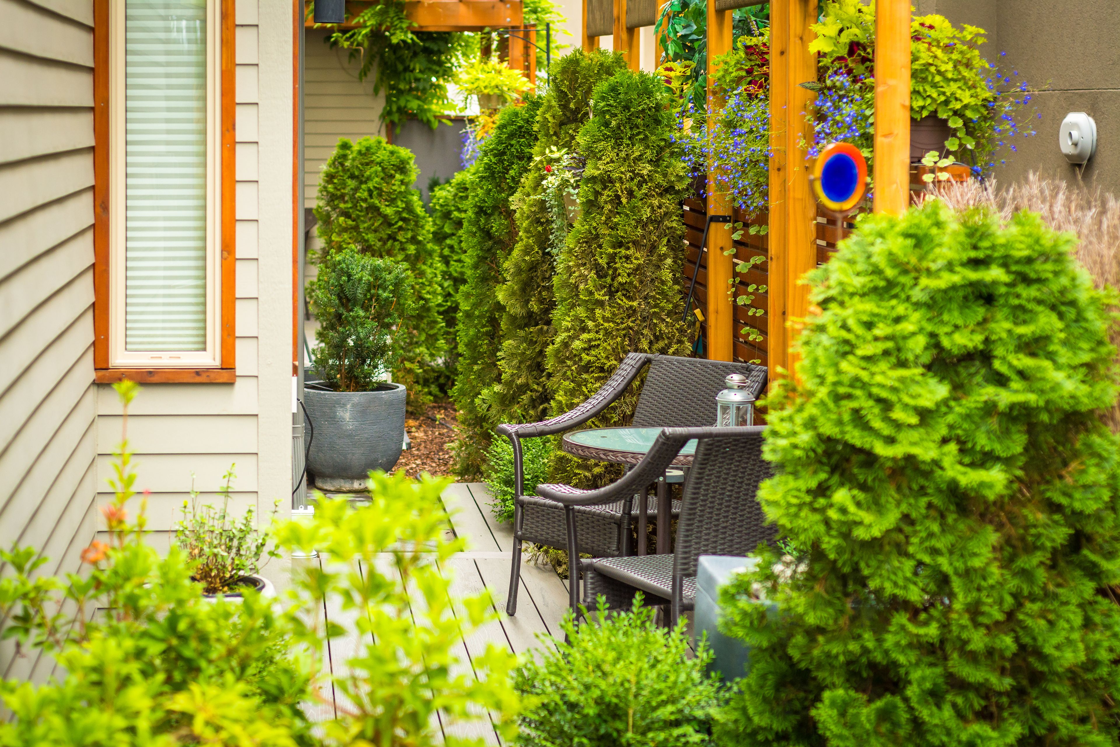 Une terrasse dotée de meubles en osier, de plantes en pot et d’une pergola en bois.
