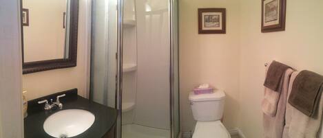 A bathroom with a sink, toilet, and shower.