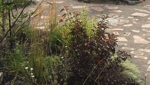 A garden with a stone pathway, various plants, and a lawn area. - Dominion Hotel (Minden Hills)